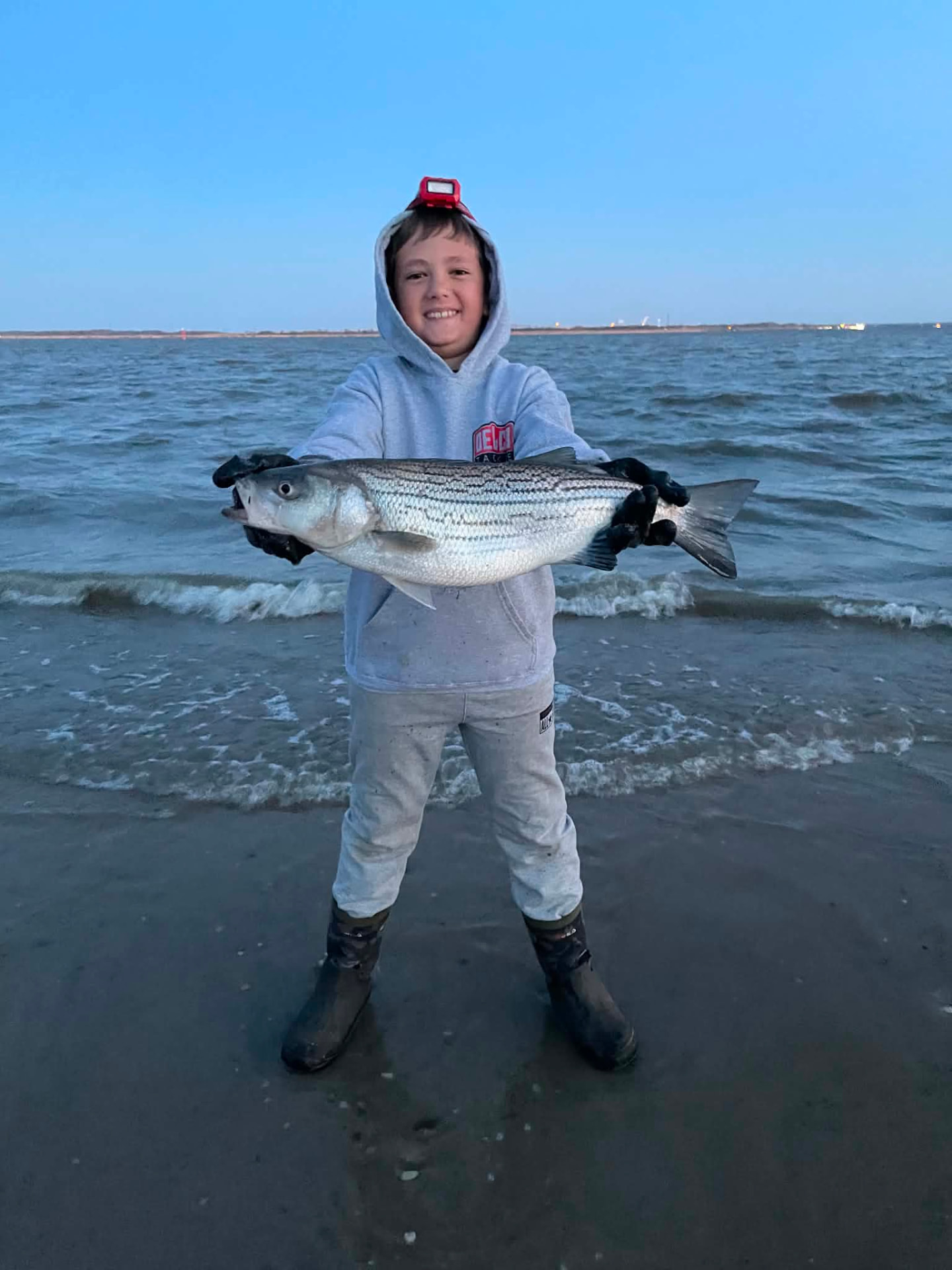 Gauge with a striped bass at dawn before release